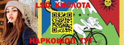 spice Заволжье