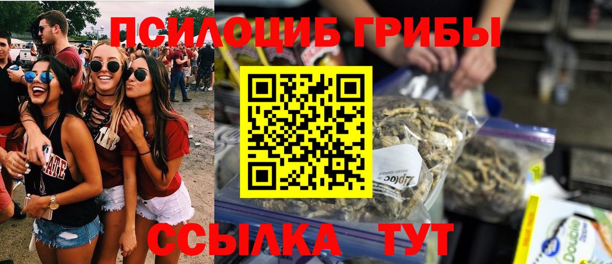 Галлюциногенные грибы прущие грибы Мончегорск