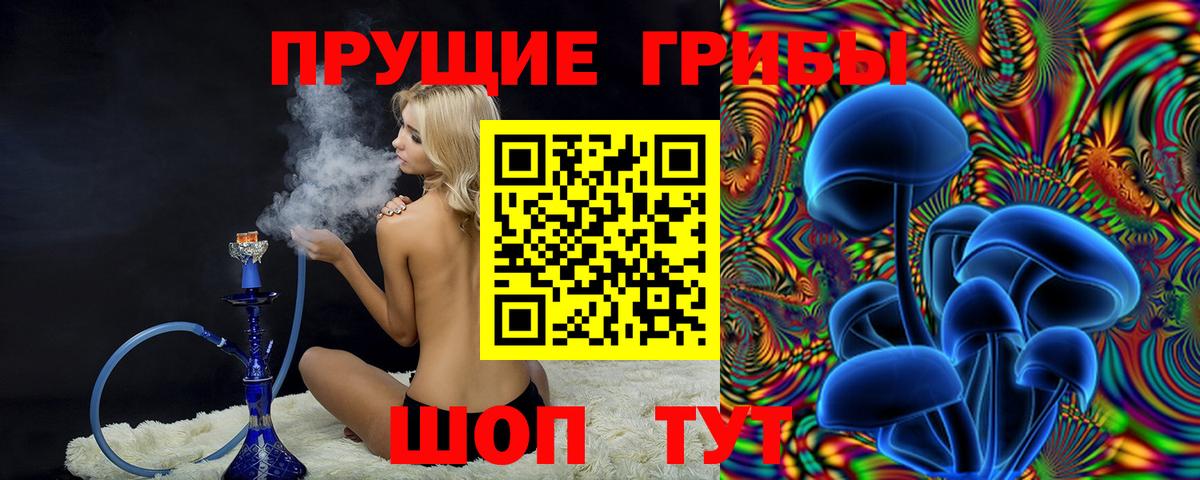наркота  Вход с VPN  Галлюциногенные грибы GOLDEN TEACHER  Мончегорск  Галлюциногенные грибы Psilocybine cubensis 